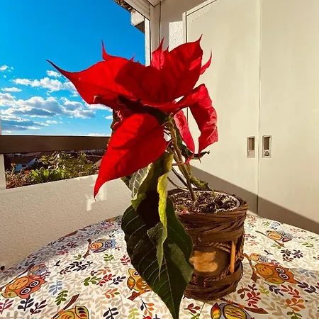 Apartment Harmony Podgorica